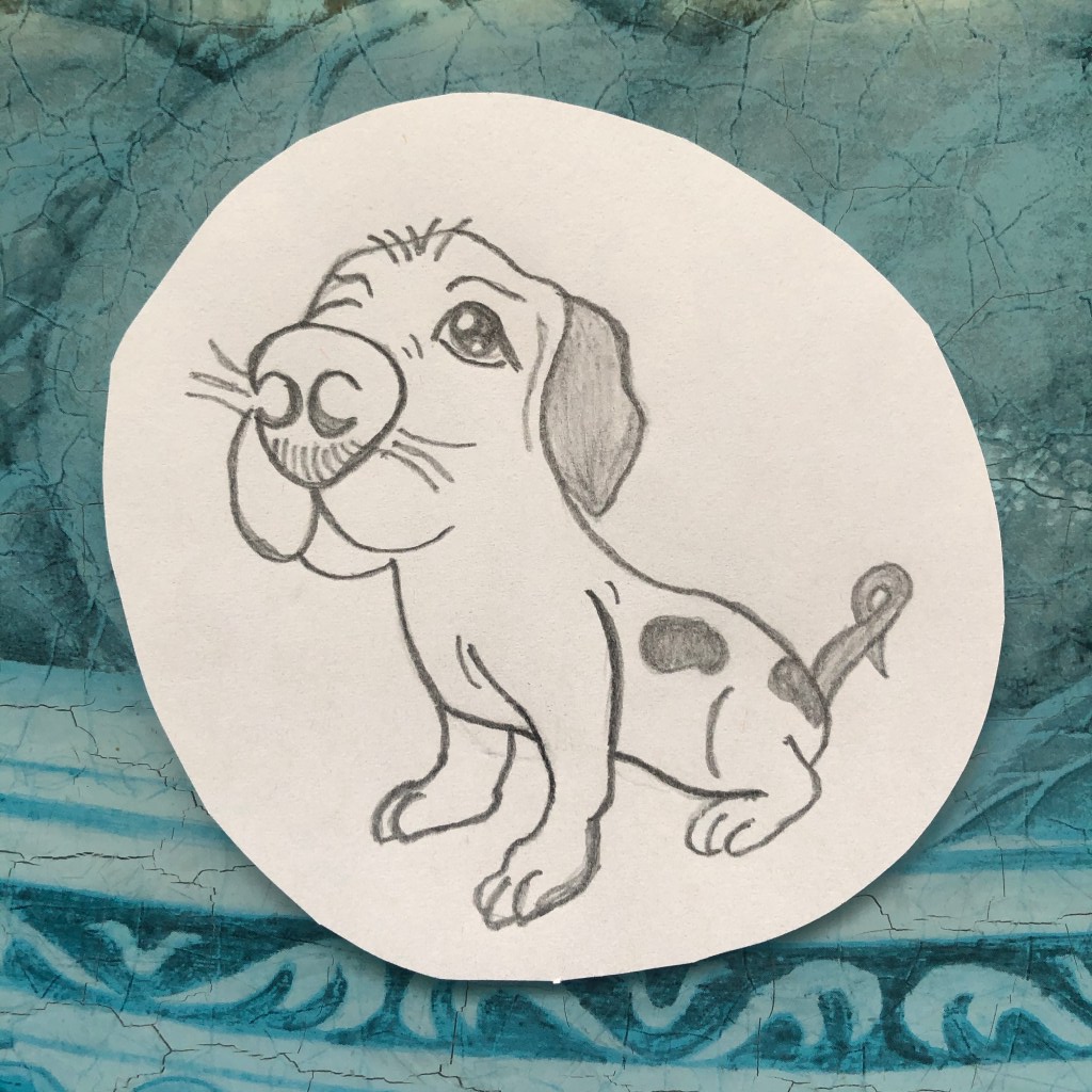 Piko begging for food