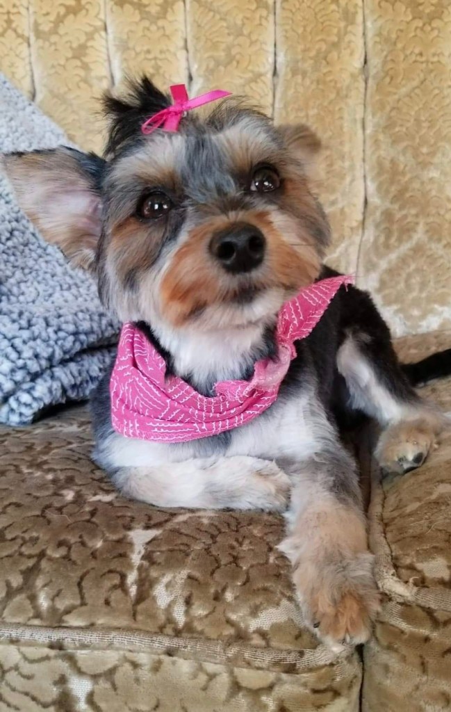 A priceless look on my baby's teddy bear face! Cuteness overload!