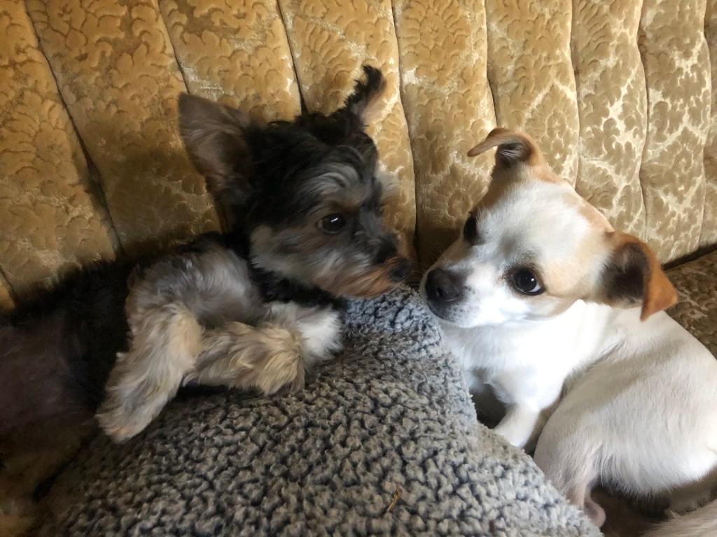 Feel-Good, Motivational and Adorable-ness Corner!