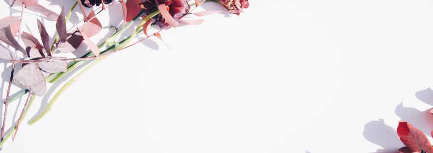 pink and white flowers on white wall