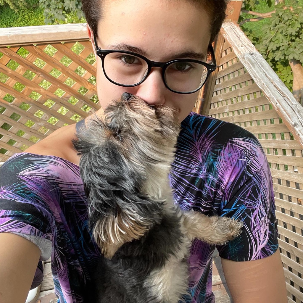 Mia, puppy, dog, yorkie