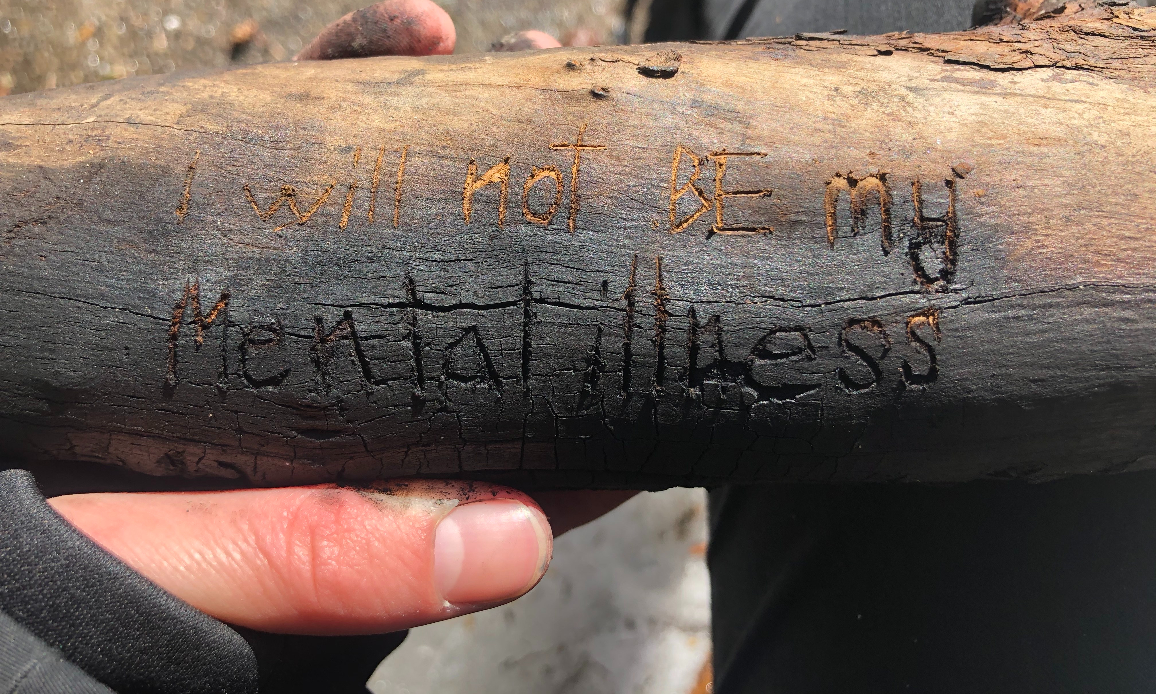 I Will Not BE My Mental Illness